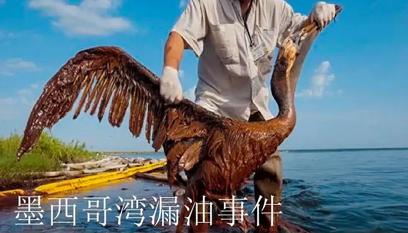被海上溢油“染黑”的海岸线J9.com环保热解技术助力守护海洋生命线